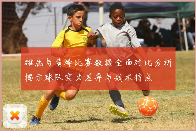 雄鹿与黄蜂比赛数据全面对比分析揭示球队实力差异与战术特点