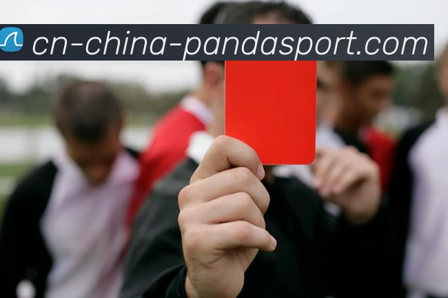 熊猫体育平台生态图